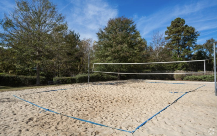 Volleyball Court